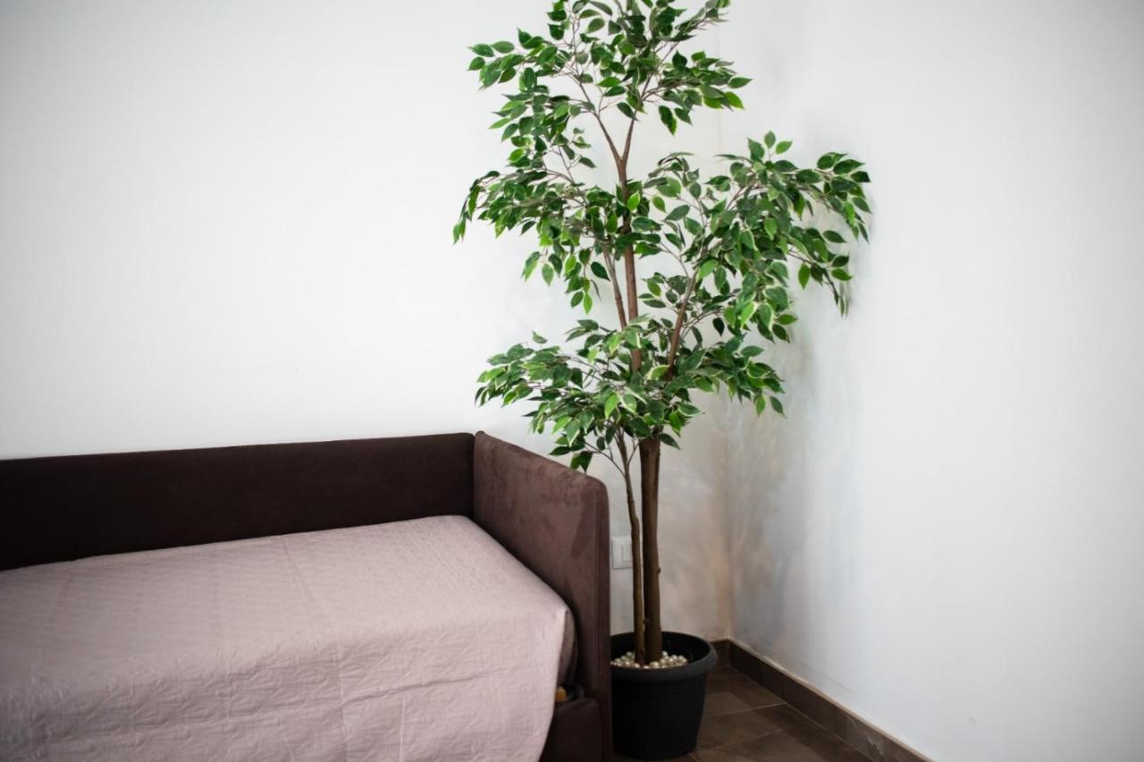 Suebi Rooms 泰尔莫利 外观 照片